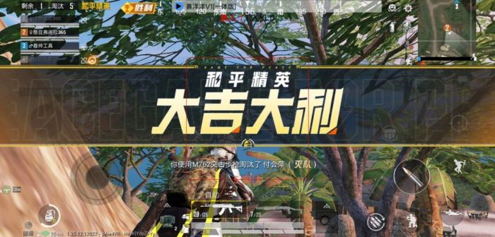 和平精英5元永久挂 - 性价比高实用辅助